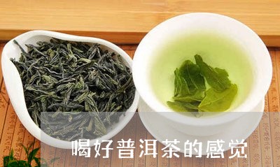 喝好普洱茶的感觉/2023041062513