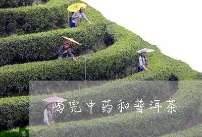 喝完中药和普洱茶/2023040913838