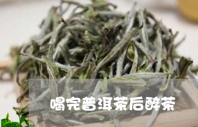 喝完普洱茶后醉茶/2023031743937