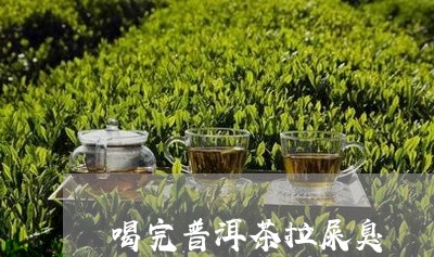 喝完普洱茶拉屎臭/2023041095158