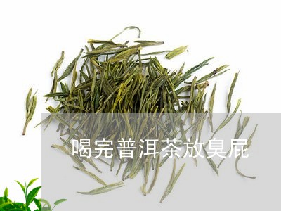 喝完普洱茶放臭屁/2023041095058