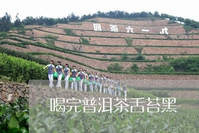 喝完普洱茶舌苔黑/2023040959492