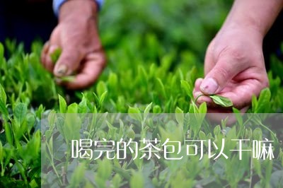 喝完的茶包可以干嘛/2023031842819