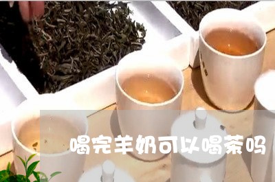 喝完羊奶可以喝茶吗/2023041616271