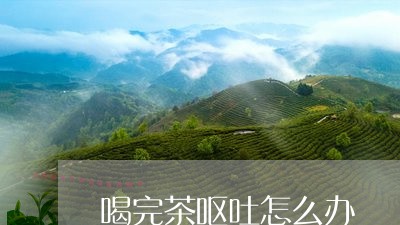 喝完茶呕吐怎么办/2023032282806