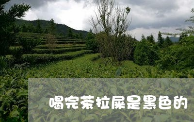 喝完茶拉屎是黑色的/2023041488583