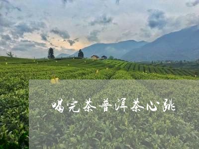 喝完茶普洱茶心跳/2023041263946