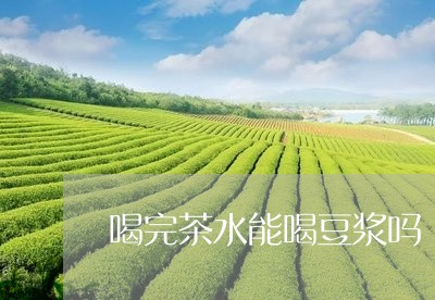 喝完茶水能喝豆浆吗/2023041499491