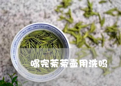 喝完茶茶壶用洗吗/2023032216149