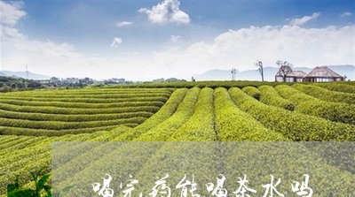 喝完药能喝茶水吗/2023032446270