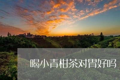 喝小青柑茶对胃好吗/2023032215460