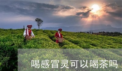 喝感冒灵可以喝茶吗/2023041639682