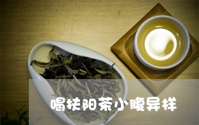 喝扶阳茶小腹异样/2023032374168