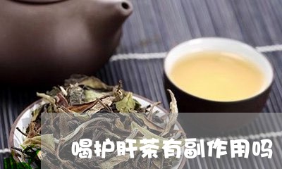 喝护肝茶有副作用吗/2023041582816