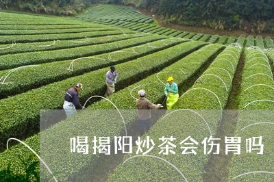 喝揭阳炒茶会伤胃吗/2023041493727