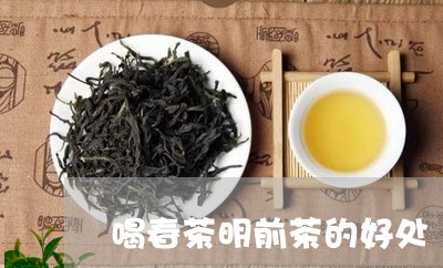 喝春茶明前茶的好处/2023032125517