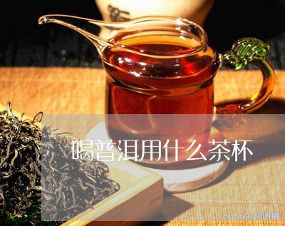 喝普洱用什么茶杯/2023032936058