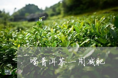 喝普洱茶一周减肥/2023033121483