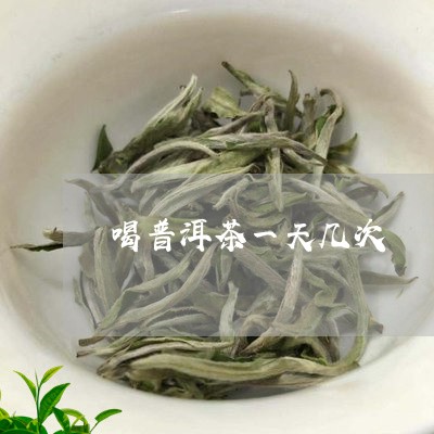 喝普洱茶一天几次/2023031768505