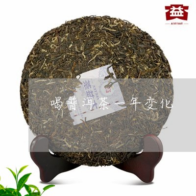 喝普洱茶一年变化/2023031850494