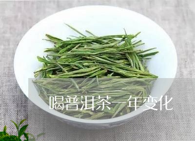 喝普洱茶一年变化/2023041306370