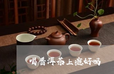 喝普洱茶上瘾好吗/2023041083027