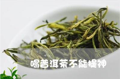 喝普洱茶不能提神/2023041014237