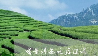 喝普洱茶之后口渴/2023041039572