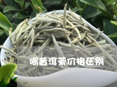 喝普洱茶价格区别/2023041050383