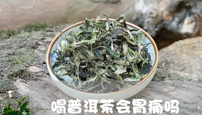 喝普洱茶会胃痛吗/2023033038381