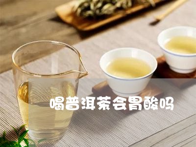 喝普洱茶会胃酸吗/2023033062945