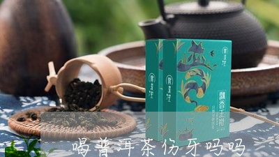 喝普洱茶伤牙吗吗/2023031787729