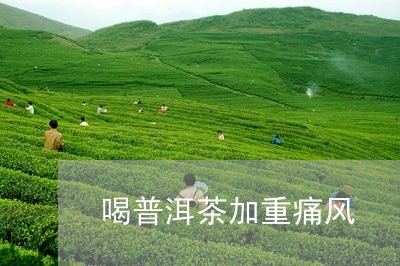 喝普洱茶加重痛风/2023031625958