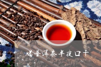 喝普洱茶半夜口干/2023040941372