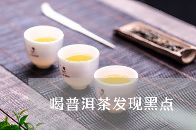 喝普洱茶发现黑点/2023031789362