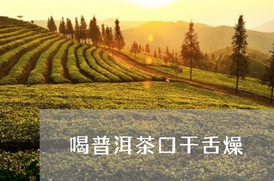 喝普洱茶口干舌燥/2023041389605