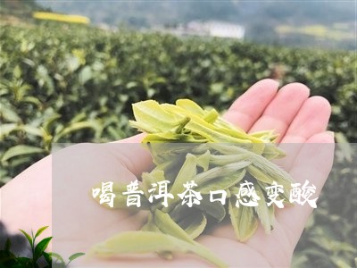 喝普洱茶口感变酸/2023040902825