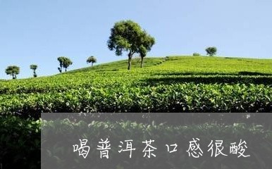 喝普洱茶口感很酸/2023040129462