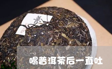 喝普洱茶后一直吐/2023033088380