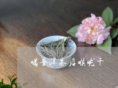 喝普洱茶后喉咙干/2023033081914