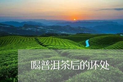 喝普洱茶后的坏处/2023040144158