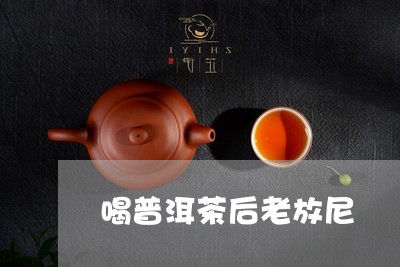 喝普洱茶后老放尼/2023033114947