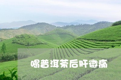 喝普洱茶后肝微痛/2023033096959