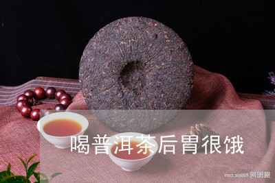 喝普洱茶后胃很饿/2023033002504