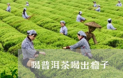 喝普洱茶喝出瘤子/2023031834062