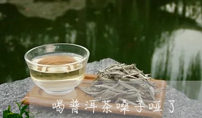 喝普洱茶嗓子哑了/2023040127272