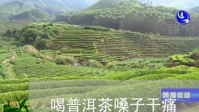 喝普洱茶嗓子干痛/2023033148304