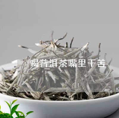 喝普洱茶嘴里干苦/2023041326159