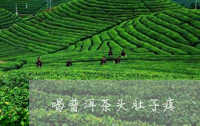 喝普洱茶头肚子疼/2023040185925