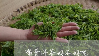 喝普洱茶好不好呢/2023031630724